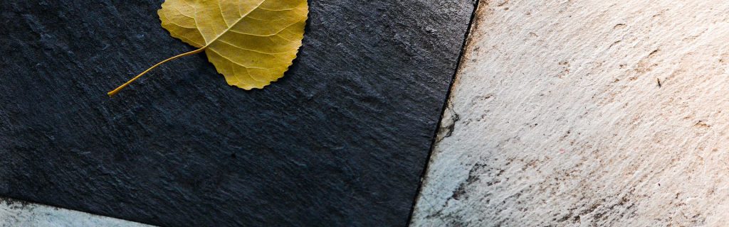 zakup płytek w internecie